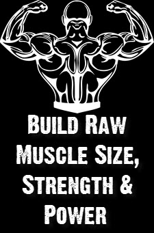 Build Muscle Size Fast